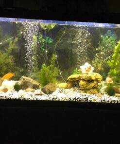 Penn-Plax Standard Airline Tubing for Aquariums – Clear and Flexible – Resists Kinking – Safe for Freshwater and Saltwater Fish Tanks – 25 Feet 35 81TvVa3pbrL