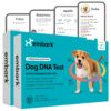 Embark Breed & Health Kit (2 Pack) - Dog DNA Test - Discover Breed, Ancestry, Relative Finder, Genetic Health, Traits, COI 2 Count (Pack of 1)