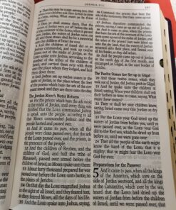 KJV Holy Bible, Giant Print Full-size Faux Leather Red Letter Edition - Thumb Index & Ribbon Marker, King James Version, Purple Floral Leather Bound 33 81TwioMsZ6L