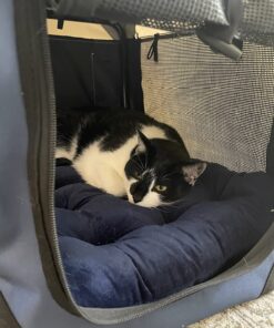 PetLuv-Happy Cat Premium Cat Carrier Soft Sided Foldable Top & Side Loading Pet Crate & Carrier Locking Zippers Shoulder Straps Seat Belt Lock Plush Pillow 24.0"L x 16.0"W x 16.0"H Navy Blue 49 81TzpdQhtNL