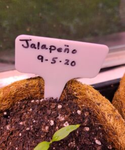 Amazon Basics Retractable Permanent Markers - Assorted Colors, 12 Count 21 81U xMfekEL