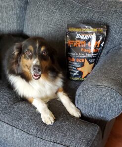 Diggin' Your Dog Firm Up Pumpkin for Dogs & Cats, 100% Made in USA, Pumpkin Powder for Dogs, Digestive Support, Apple Pectin, Fiber, Healthy Stool, 16 oz 16 oz (Pack of 1) 31 81U3jhXakUL