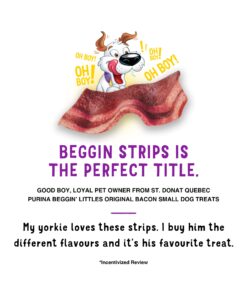 Purina Beggin' With Real Meat Dog Treats, Fun Size Original With Bacon Flavor - 25 oz. Pouch 29 81U6VozjwmL