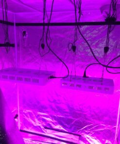 iPower GLROPE 1-Pair 1/8 Inch 8-Feet Long Heavy Duty Adjustable Rope Clip Hanger (150lbs Weight Capacity) Reinforced Metal Internal Gears, 1 Pack, Black 1 Pair 19 81U9zmmooBL