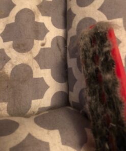 Lilly Brush Forever Furless Pet Hair Remover Brush | Gentle Bristled Cat & Dog Hair Remover Brush for Home, Auto Car Detailing Supplies, Lint Brush, Furniture, Fabric & Rug Cleaner 52 81UBlSM15XL 1