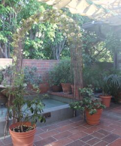 NStar Real Sized Metal Decoration Arch, White 31 81UBoidK2RL