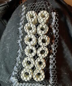 MarineLand Ceramic Filter Rings 140 Count, Supports Biological aquarium Filtration, Fits C-Series And Magniflow, 140 rings (PA11484) 17 81UBtXvfHnL