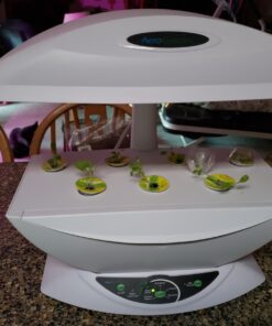 AeroGarden Salad Greens Mix Seed Pod Kit, 7 pod 33 81UDzTGuJdL
