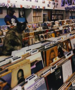 Alternative view of Endtroducing..... Endtroducing (Deluxe Edition) [Explicit]