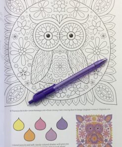 Groovy Owls Coloring Book (Coloring is Fun) (Design Originals) 32 Adorable Art Activities with Quiet, Stoic, Wise, and Happy Owls, plus Beginner-Friendly Advice, Techniques, Color Choices, & Examples Paperback, Coloring Book 46 81UJbgcloyL