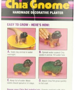 Chia Pet Gnome with Seed Pack, Decorative Pottery Planter, Easy to Do and Fun to Grow, Novelty Gift, Perfect for Any Occasion 17 81UM8CJ5x5L
