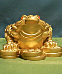 1 X Feng Shui Money Frog/Money Toad Attract Wealth 21 81UOXm9T8KL