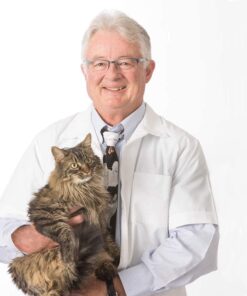 Precious Cat Respiratory Relief Cat Litter with Herbal Essences, 20 lb 12 81UPHYNEhOL