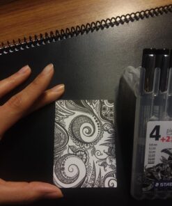 STAEDTLER Pigment Liner Bonus Sketch Set of 6 Liners for the Regular Price of 4(2 free), 308 SB6P Mixed set Black 6 Count (Pack of 1) 34 81UPOMNoPpL