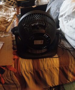 Amazon Basics 3 Speed Small Room Air Circulator Fan, 11-Inch, Blade, Black, 7.6"D x 14.8"W x 14.1"H 47 81UPvvVqnL