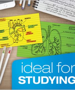 Oxford Neon Index Cards, 3" x 5", Ruled, Assorted Colors, 300 Per Pack (81300EE) 21 81URFxANbsL