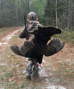 AVIAN-X LCD Breeder Hen Turkey Decoy | Durable Realistic Lifelike Collapsible Standing Hunting Decoy with Carry Bag & Stake, AVX8008 33 81UUTEViuPL