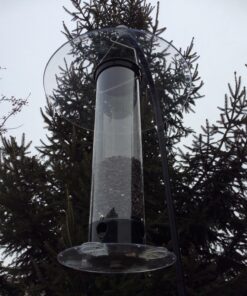 Droll Yankees YCPT-360 021964205300 Squirrel Proof Bird Feeder, Yankee Tipper, 17-Inch, 4 Po, Black 9 81UUiW2tzYL