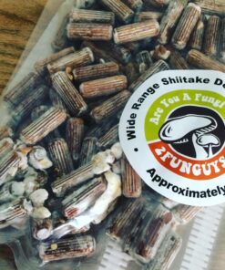 2funguys Shiitake Plug Spawn Starter Kit - Grown Your Own Mushrooms 17 81UaUeBWXrL