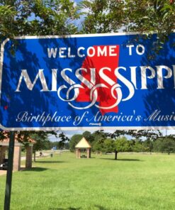 Real Avid Handgun Cleaning Kit: All in One 13 Piece Pistol Cleaning Kit With Cleaning Rod, Bore Brushes, Gun Cleaning Jags & Gun Cleaning Patches For .22 .357 9MM .38 .40 .44 & .45 Caliber Handguns 57 81UdwAMhwL