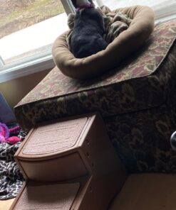 Pet Gear Easy Step II Pet Stairs, 2 Step For Cats/Dogs Up To 75-Pounds, Portable, Removable Washable Carpet Tread, No Tools Required, Available In 4 Colors,Light Cocoa Light Cocoa 22 81UeHncW7KL