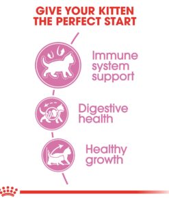 Royal Canin Feline Health Nutrition Kitten Dry Cat Food, 7 lb bag 7 Pound (Pack of 1) 22 81UeSw R1qL 1