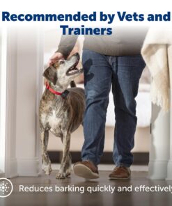 PetSafe Basic Bark Control Collar for Dogs 8 lb. and Up, Anti-Bark Training Device, Waterproof, Static Correction, Canine - Automatic Dog Training Collar to Decrease Barking, PBC-102 23 81UfHeREEpL