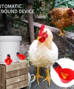 sansheng 24Pack Chicken Waterer Cups,Poultry Water Cups,Automatic Poultry Waterer for DIY Poultry Quail Duck Chicken Bird Drinker 24 31 81UgNqgDLEL