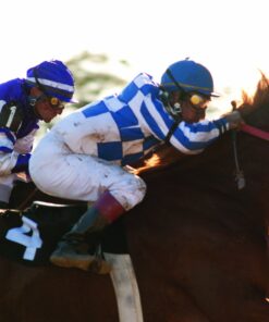 Secretariat DVD January 20, 2011 15 81Uh0nRaoEL