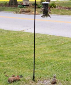 More Birds Abundance Bird Feeder, Combination Mixed Seed and Thistle, 6 Feeding Ports, 3.5 lb Seed Capacity Medium 19 81UhUt5YNkL