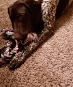 Mammoth Flossy Chews Color Rope Tug – Premium Cotton-Poly Tug Toy for Dogs – Interactive Dog Rope Toy – Tug Dog Chew Toy Large 25" 3 Knot 36 81Ui2D82vNL