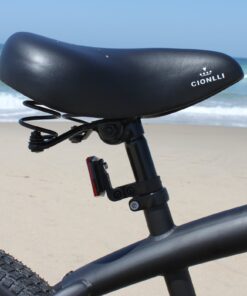 Firmstrong Bruiser Man Single Speed Beach Cruiser Bicycle Matte Black 19 inch / Large 16 81Up1YbKVwL