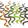 Kicko 12 Pack of 14 Inch Assorted Rubber Toy Snake - Soft Flexible Realistic Fake Floating Plastic Snakes - Colorful Bulk Small Sizes Set for Reptile School Collection, Birthday Party, Halloween Props 35 81UuZv35xhL