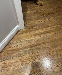 Rejuvenate Professional Wood Floor Restorer and Polish with Durable Finish Easy Mop On Application High Gloss Finish 32oz 32 Fl Oz (Pack of 1) 1 Pack 42 81UvAnYm5mL