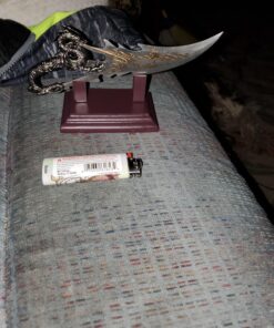 BladesUSA PK-2235 Fantasy Dragon Knife with Wood Display Stand, Silver, 7.5" 18 81UvCAfXEkL