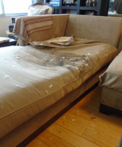 Fairfield The Original Poly-Fil, Premium Polyester Fiber Fill, Soft Pillow Filler, Stuffing for Stuffed Animals, Toys, Cloud Decorations, and More, Machine-Washable, 5 lbs. Box, White 5 lb 53 81UxAcl12YL