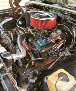 Gunk CEB1 Engine Shine Protector and Detailer, 15 Oz 15 Ounce 35 81UxfYUFsoL