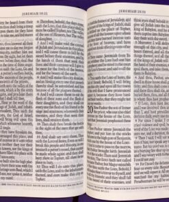 KJV Holy Bible, Giant Print Standard Size Faux Leather Red Letter Edition - Thumb Index & Ribbon Marker, King James Version, Dark Brown Imitation Leather 76 81UxwXxWXL