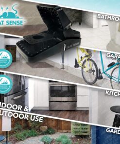 Kat Sense Rat Traps That Work Indoor & Outdoor for Instant Kill Results, Set of 8 Large Reusable Snap Traps for Mice Chipmunks 'N Squirrels 8 Piece 25 81V Q9vlEgL