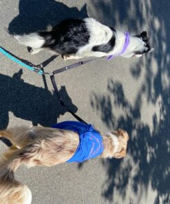 Leashboss Extra Long Double Dog Leash Coupler for Large Dogs - 16-28 Inches - Adjustable 1 Inch Heavy Duty Nylon Leash Splitter for Large Dogs (1 Inch Wide x 16-28 Inches, Black) 16-28 Inch 29 81V0tQnjJnL