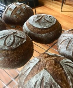 Breadtopia Bread Lame with 5 Blades & Storage Box | Premium Lame Bread Tool | Bread Lame Dough Scoring Tool | Perfect as a Sourdough Scoring Blade | Ideal Gifts for Bakers | 38 81V1pC5L48L