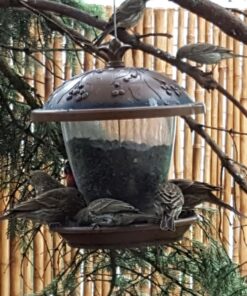 Perky-Pet 305 Holly Berry Gilded Chalet Wild Bird Feeder Gold 40 81V27AZMNUL