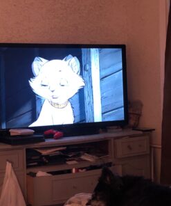 The Aristocats (Two-Disc Blu-ray/DVD Special Edition in Blu-ray Packaging) Multi-Format August 21, 2012 13 81V3ioLYWL