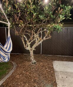 TingMiao Fairy Lights 33ft 100 LED String Lights Battery Operated with Remote Waterproof Copper Wire Lights for Indoor Decorative Lights Warm White 30 81V6V bhKXL