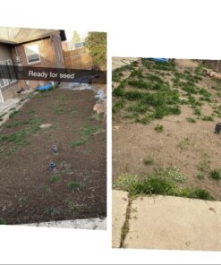 Hydro Mousse Liquid Lawn System - Grow Grass Where You Spray It - Made in USA High Performance Grass Blend 33 81V7QphIoeL