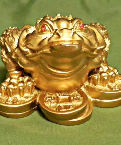 1 X Feng Shui Money Frog/Money Toad Attract Wealth 22 81VJFD5c L