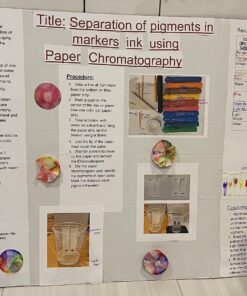 Mr. Sketch 1905069 Scented Watercolor Marker Chisel Tip 12 Colors 12/Set 27 81VLafbfOoL