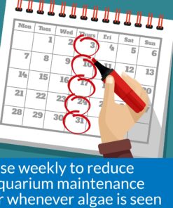 Alternative view of API ALGAEFIX Algae Control 16-Ounce Bottle Freshwater