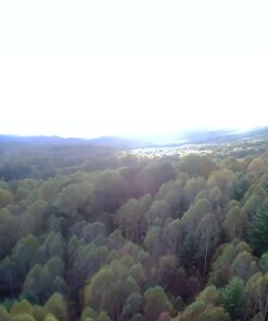 Holy Stone HS110D FPV RC Drone with 1080P HD Camera Live Video 120°Wide-Angle WiFi Quadcopter with Gravity Sensor, Voice & Gesture Control, Altitude Hold, Headless Mode, 3D Flip RTF 2 Batteries 67 81VScm5wMSL