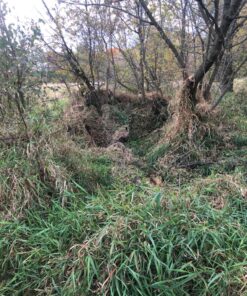 GhostBlind 4-Panel Predator Blind, Silver 44 81VTuxxC0zL